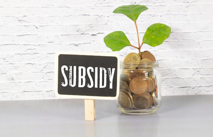 Subsidies